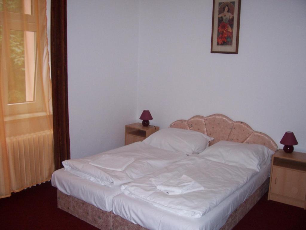 Penzion Haus Regrus Jachymov Room photo